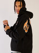 VARSITY NCAA TEXAS SLEEVE TO SLEEVE PULLOVER HOODIE - Boathouse