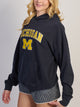 VARSITY MICHIGAN APLQ PULLOVER HOODIE - MARIN - Boathouse