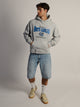 VARSITY NORTH CAROLINA RELAXED CAMO LOGO HOODIE - Boathouse