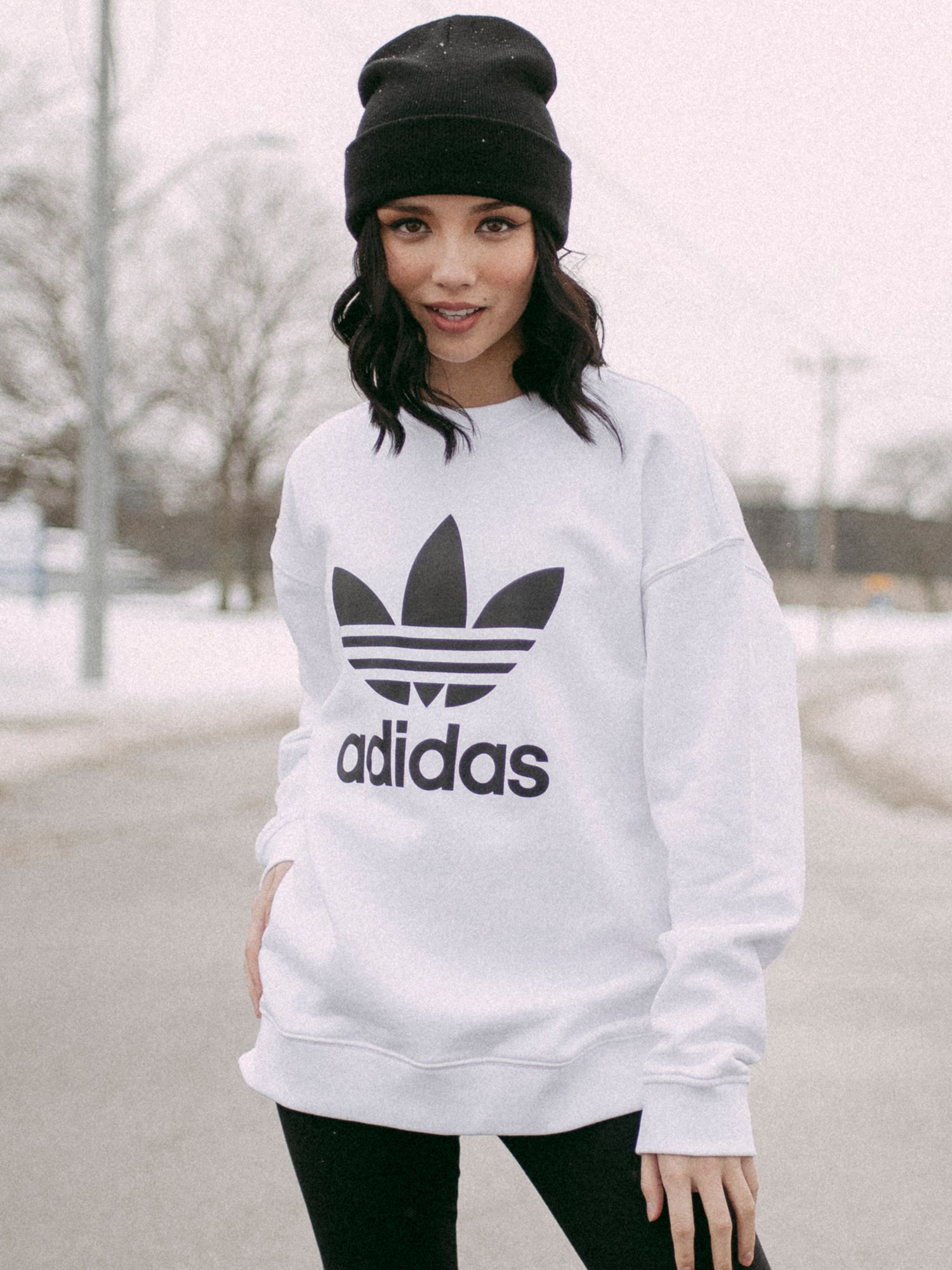 Adidas trefoil shop crew w sweater