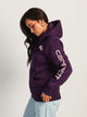 CARHARTT CARHARTT LOGO SLEEVE PULLOVER HOODIE - Boathouse