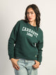 CARHARTT CARHARTT LOOSE FIT MIDWEIGHT GRAPHIC CREWNECK - GREEN - Boathouse