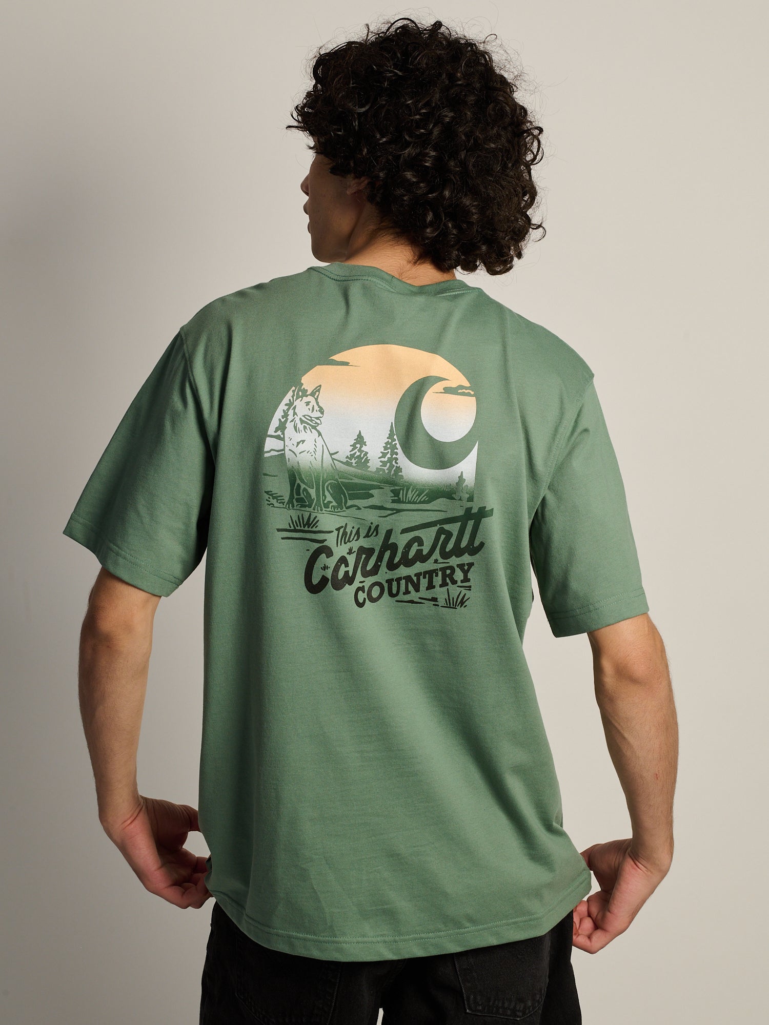CARHARTT IRVINE RLXD COUNTRY TEE