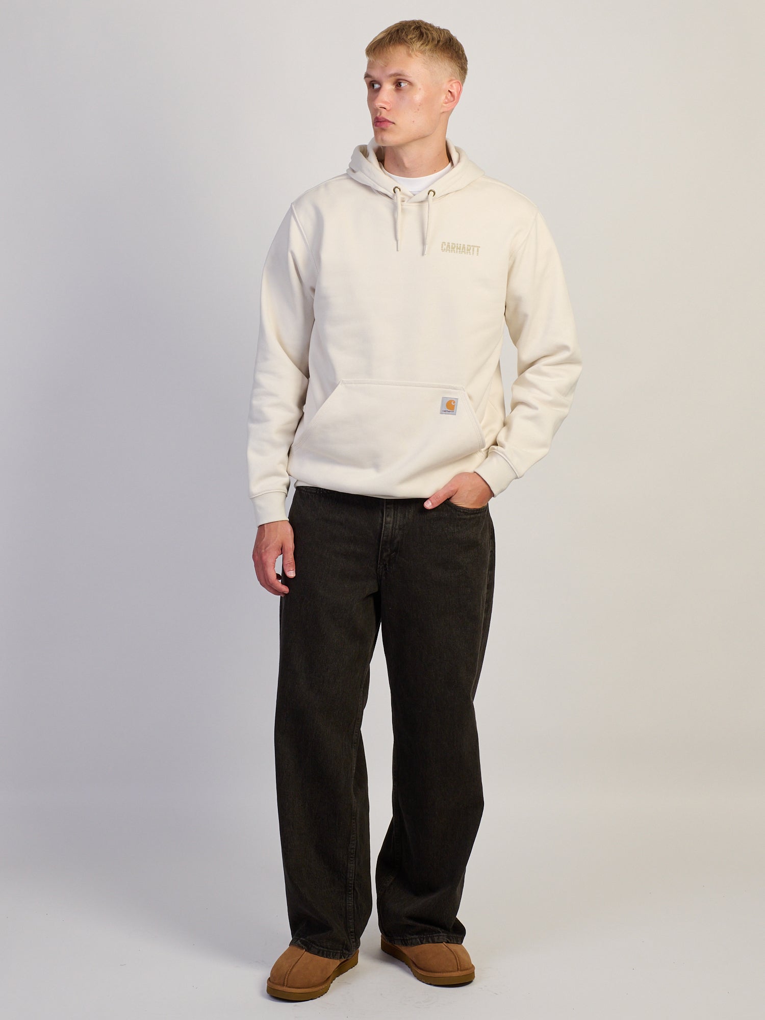 CARHARTT PAXTON LG GRAPHIC PULL OVER HOODIE
