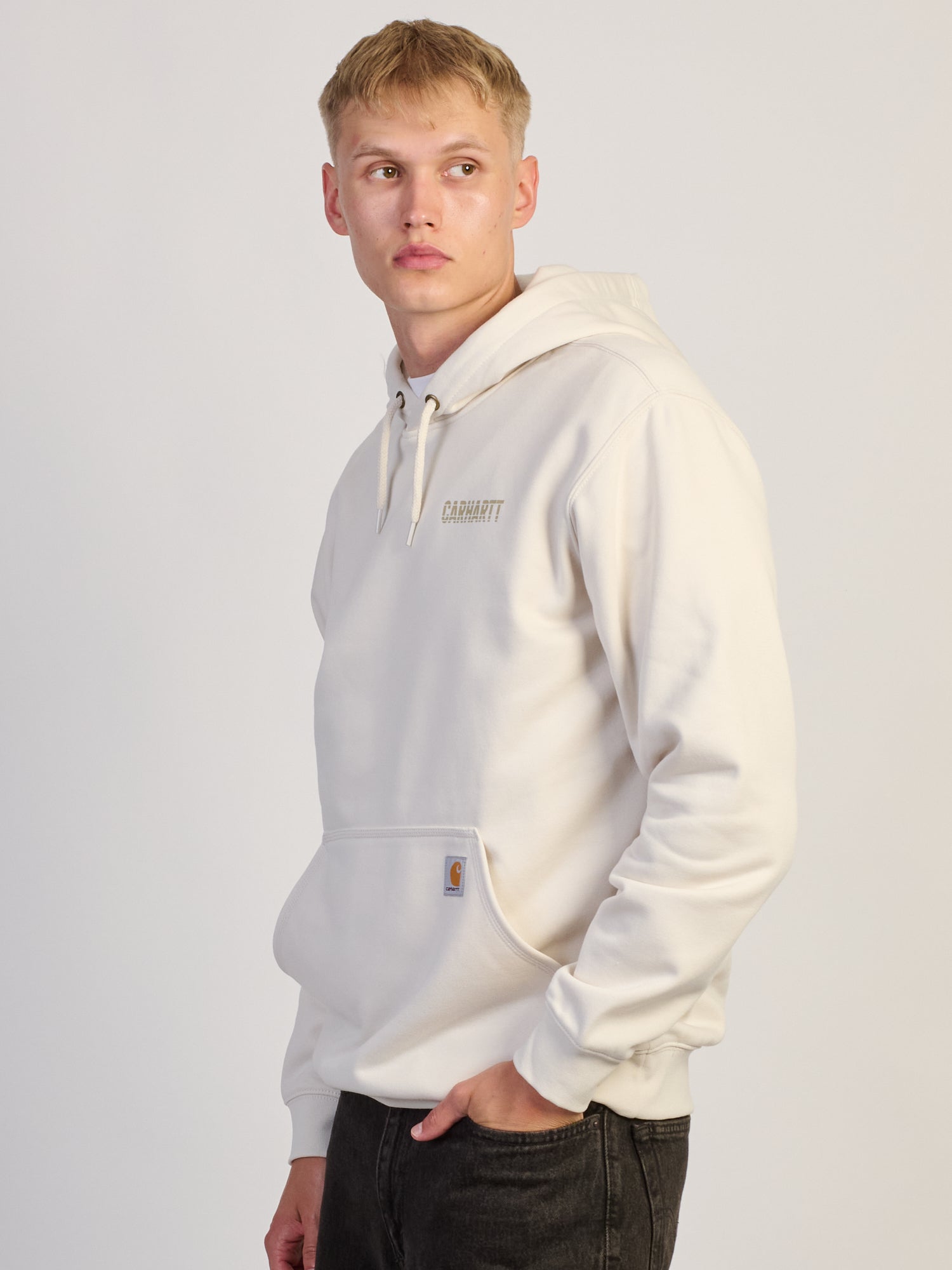CARHARTT PAXTON LG GRAPHIC PULL OVER HOODIE