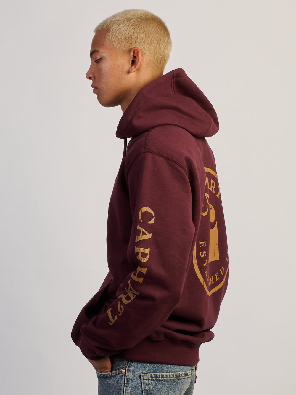 CARHARTT PAXTON 1889 GRAPHIC PULL OVER HOODIE