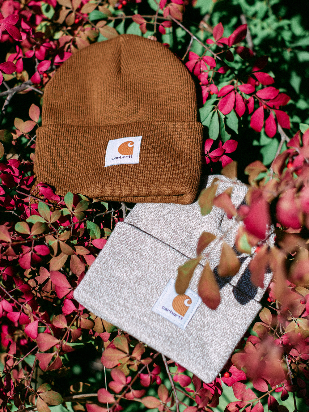 WATCH BEANIE - CARHARTT BROWN