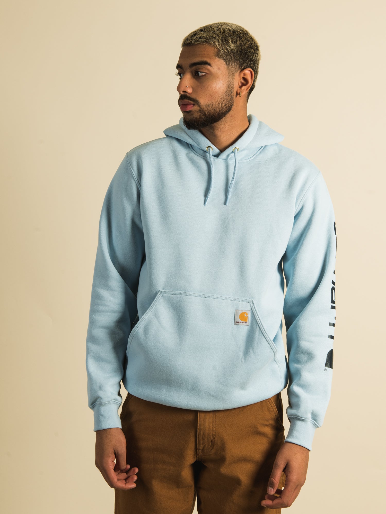 Baby blue sale carhartt hoodie