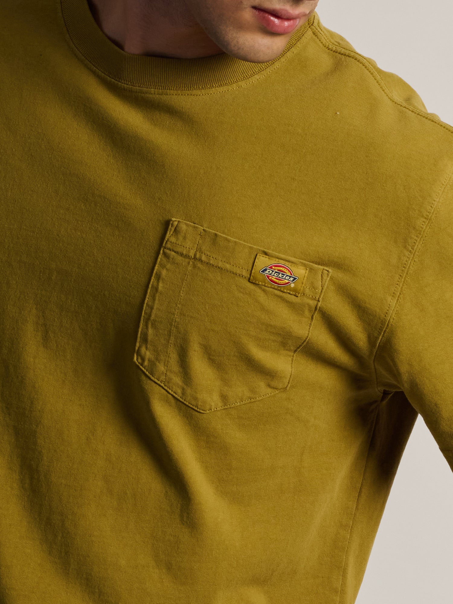 DICKIES HEAVYWEIGHT SHORT SLEEVE POCKET T-SHIRT - BROWN