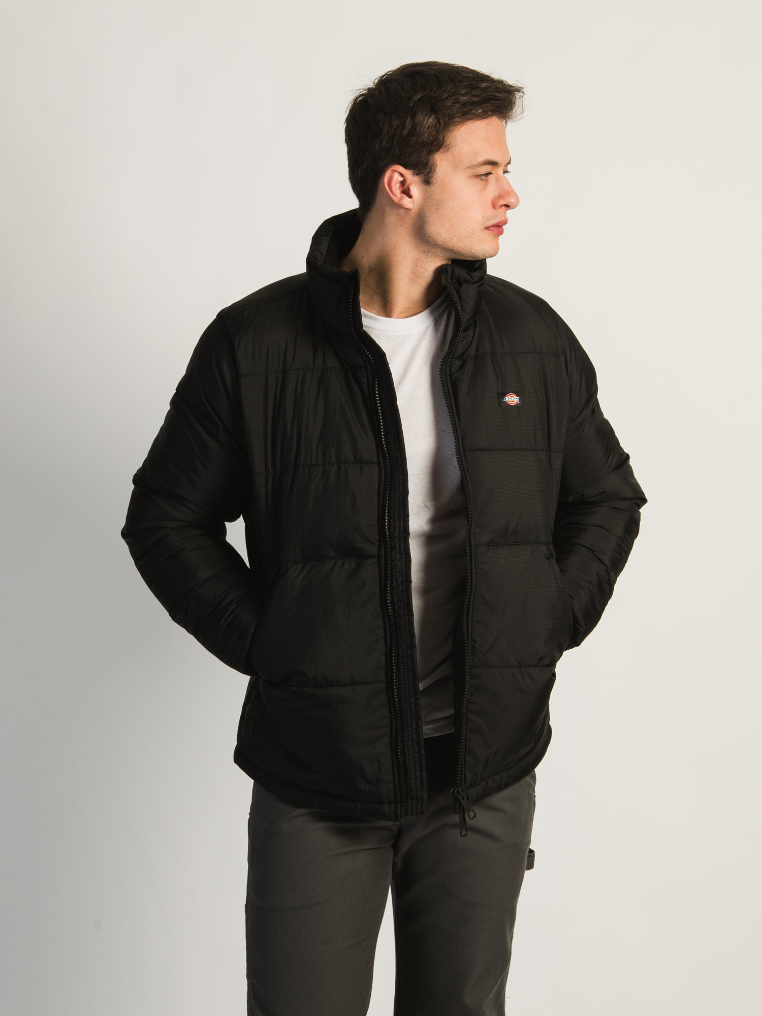 Dickies hotsell padded jacket