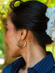 HARLOW HARLOW CHARLENE HOOPS - GOLD - Boathouse