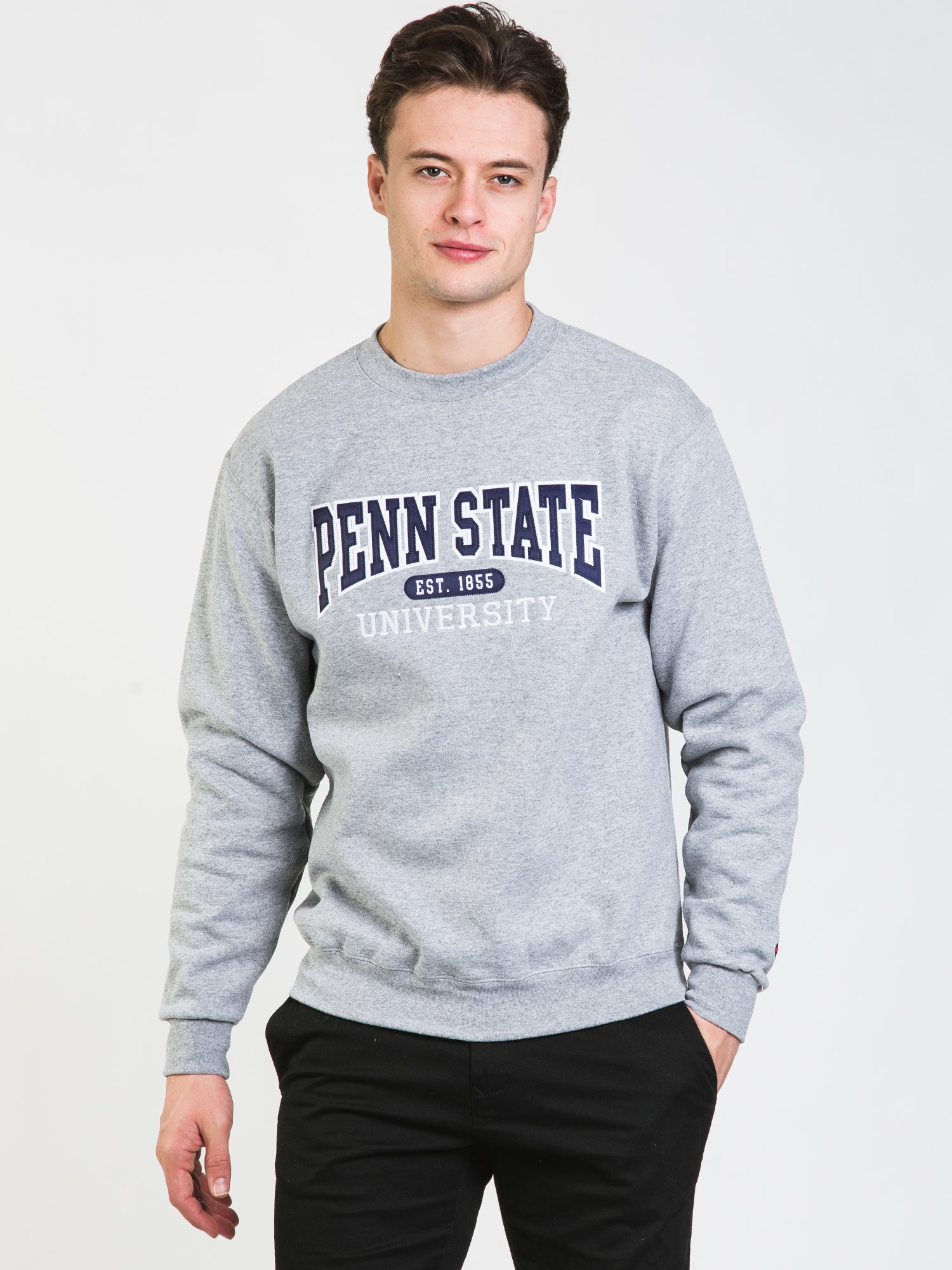 Penn state best sale champion crewneck