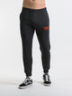 RUSSELL ATHLETIC RUSSELL USC FLEECE JOGGER - Boathouse