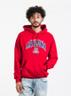 RUSSELL ATHLETIC RUSSELL ARIZONA PULLOVER HOODIE - CLEARANCE - Boathouse