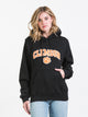 RUSSELL ATHLETIC RUSSELL CLEMSON PULLOVER HOODIE - CLEARANCE - Boathouse