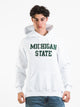RUSSELL ATHLETIC RUSSELL MICHIGAN PULLOVER HOODIE - CLEARANCE - Boathouse