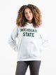 RUSSELL ATHLETIC RUSSELL MICHIGAN PULLOVER HOODIE - CLEARANCE - Boathouse