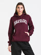 RUSSELL ATHLETIC RUSSELL HARVARD PULLOVER HOODIE - CLEARANCE - Boathouse