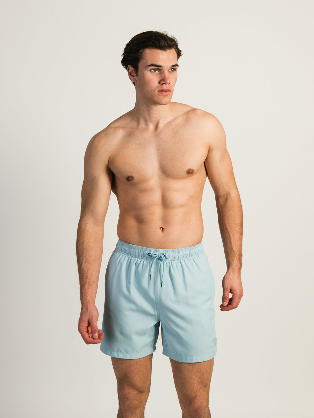 ISLAND HAZE ICE WAVE 5" VOLLEY SHORT