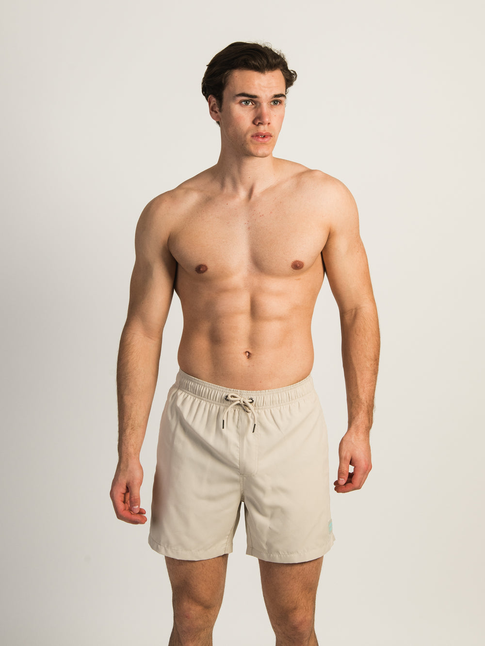 ISLAND HAZE TAUPE WAVE 5" VOLLEY SHORT