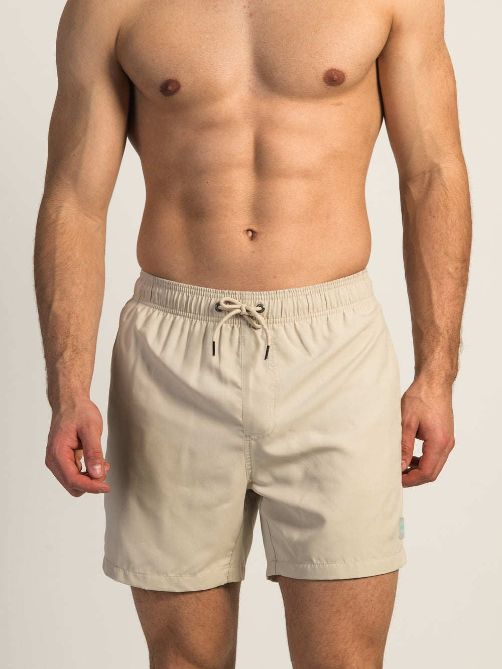 ISLAND HAZE TAUPE WAVE 5" VOLLEY SHORT