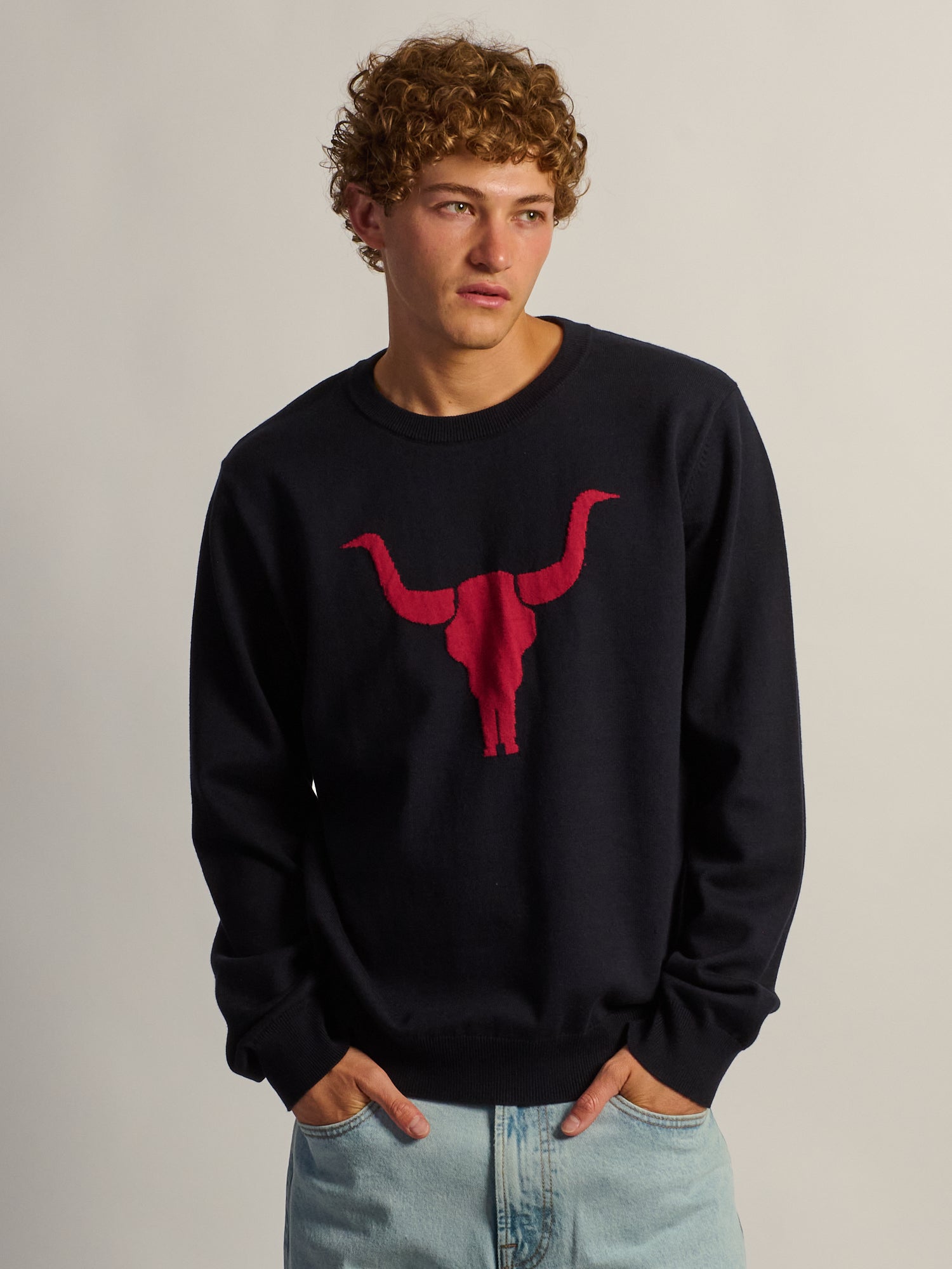 KOLBY GRAPHIC SWEATER - NAVY