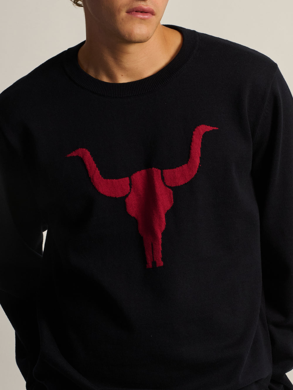 KOLBY GRAPHIC SWEATER - NAVY