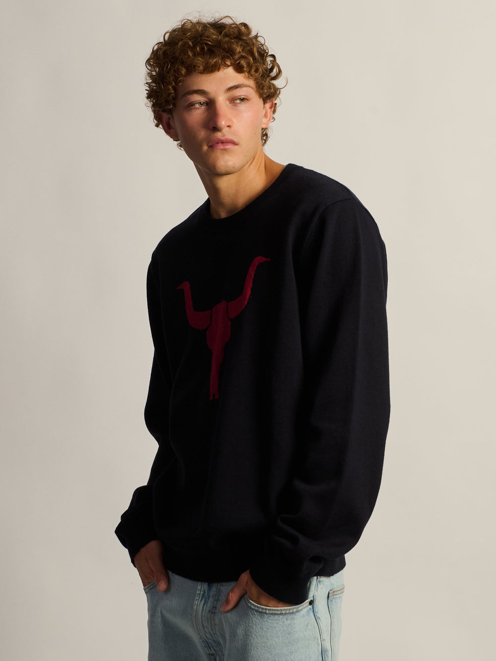 KOLBY GRAPHIC SWEATER - NAVY