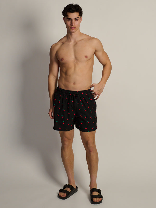 KOLBY CHERRY 5in STRETCH SWIM SHORT