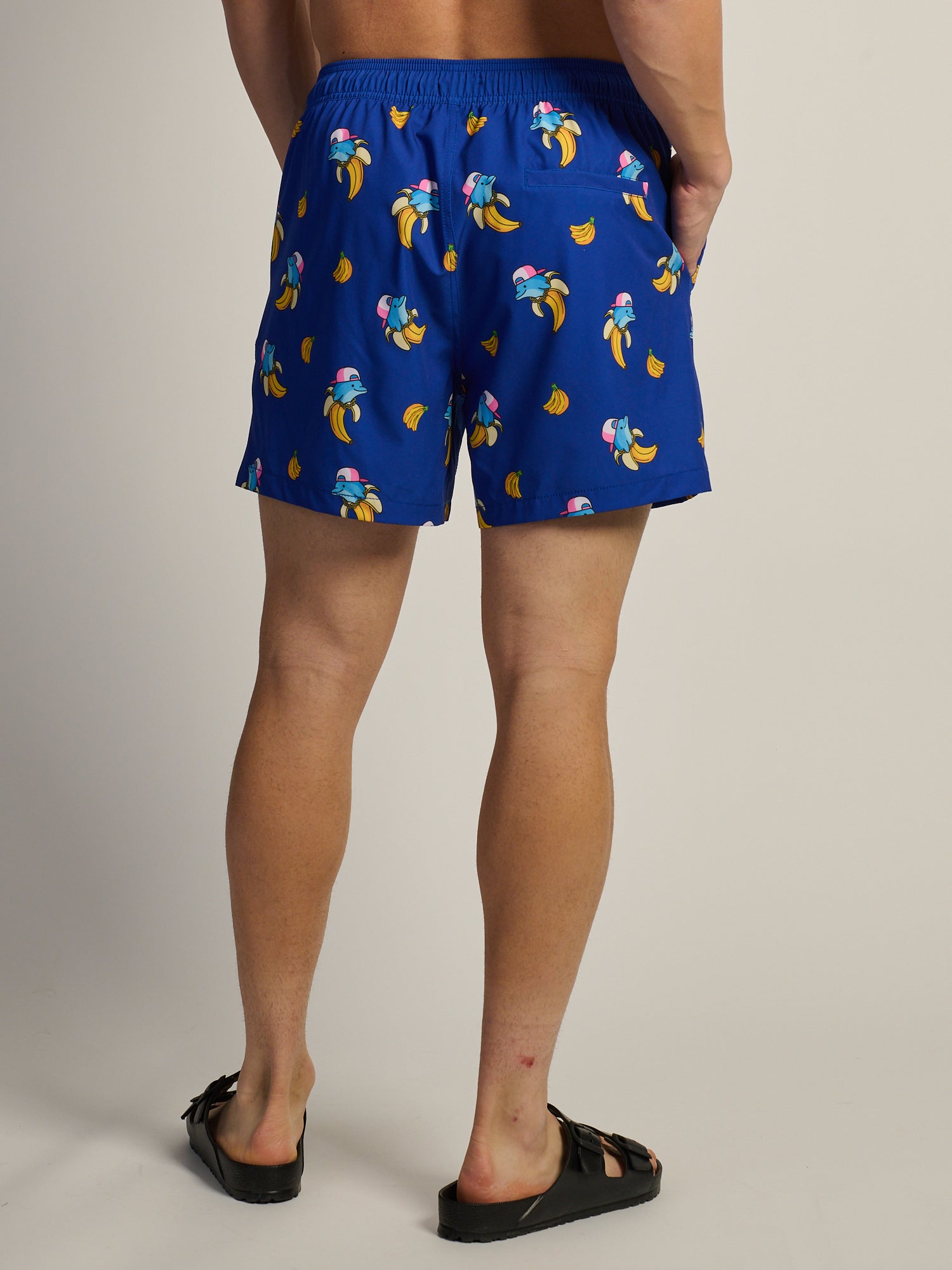 KOLBY DOLPHIN 5in STRETCH SWIM SHORT