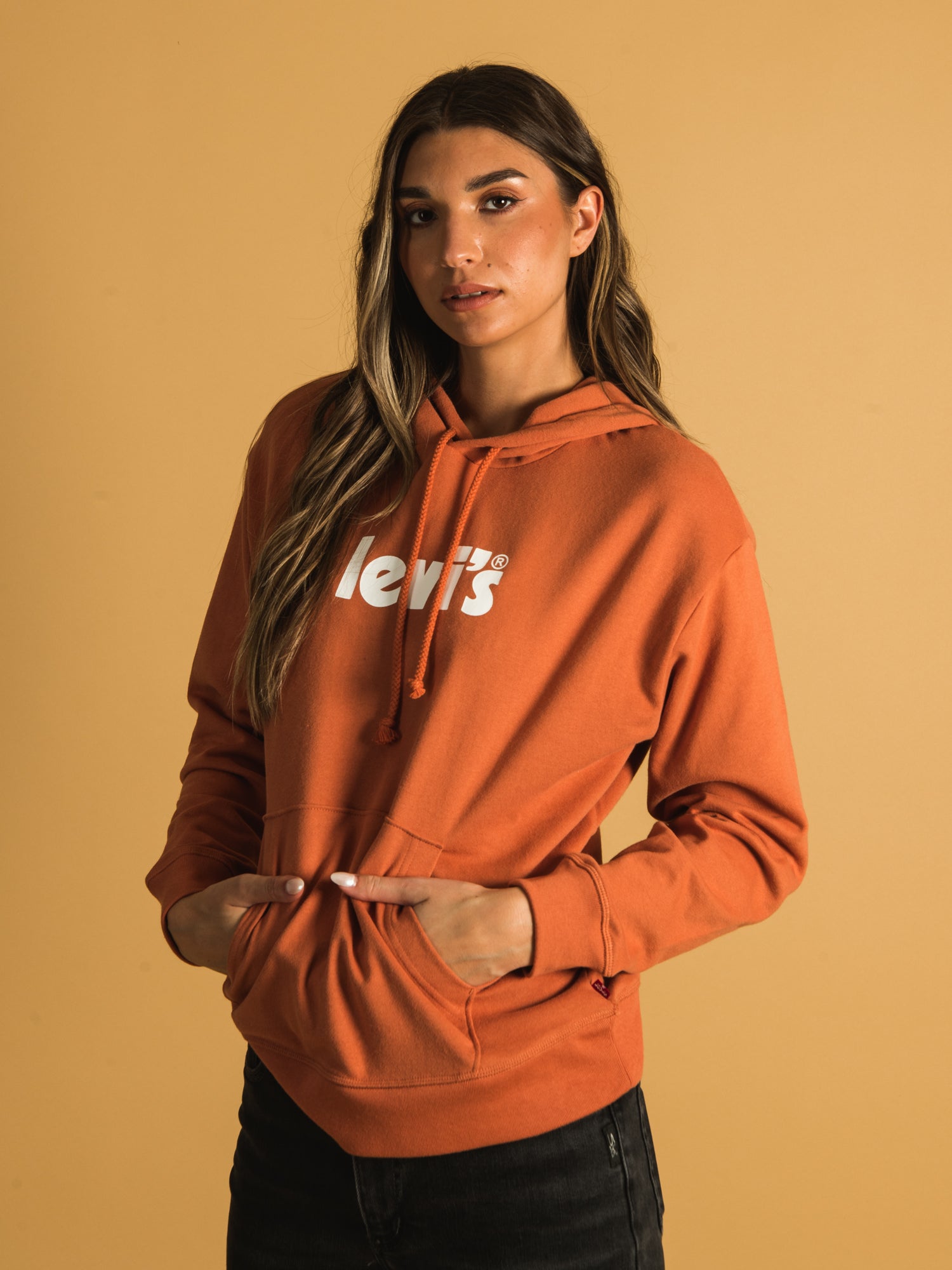 Levi's graphic discount sport hoodie