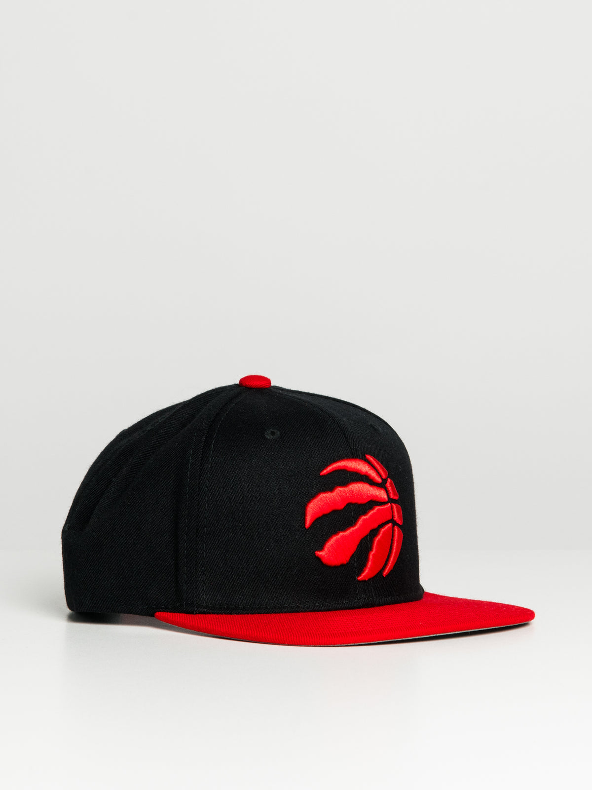 Toronto raptors snapback hot sale hats