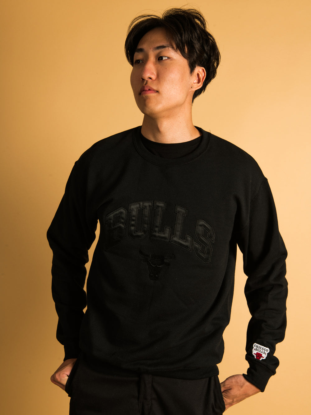 NBA CHICAGO BULLS TONAL EMBROIDERED CREW