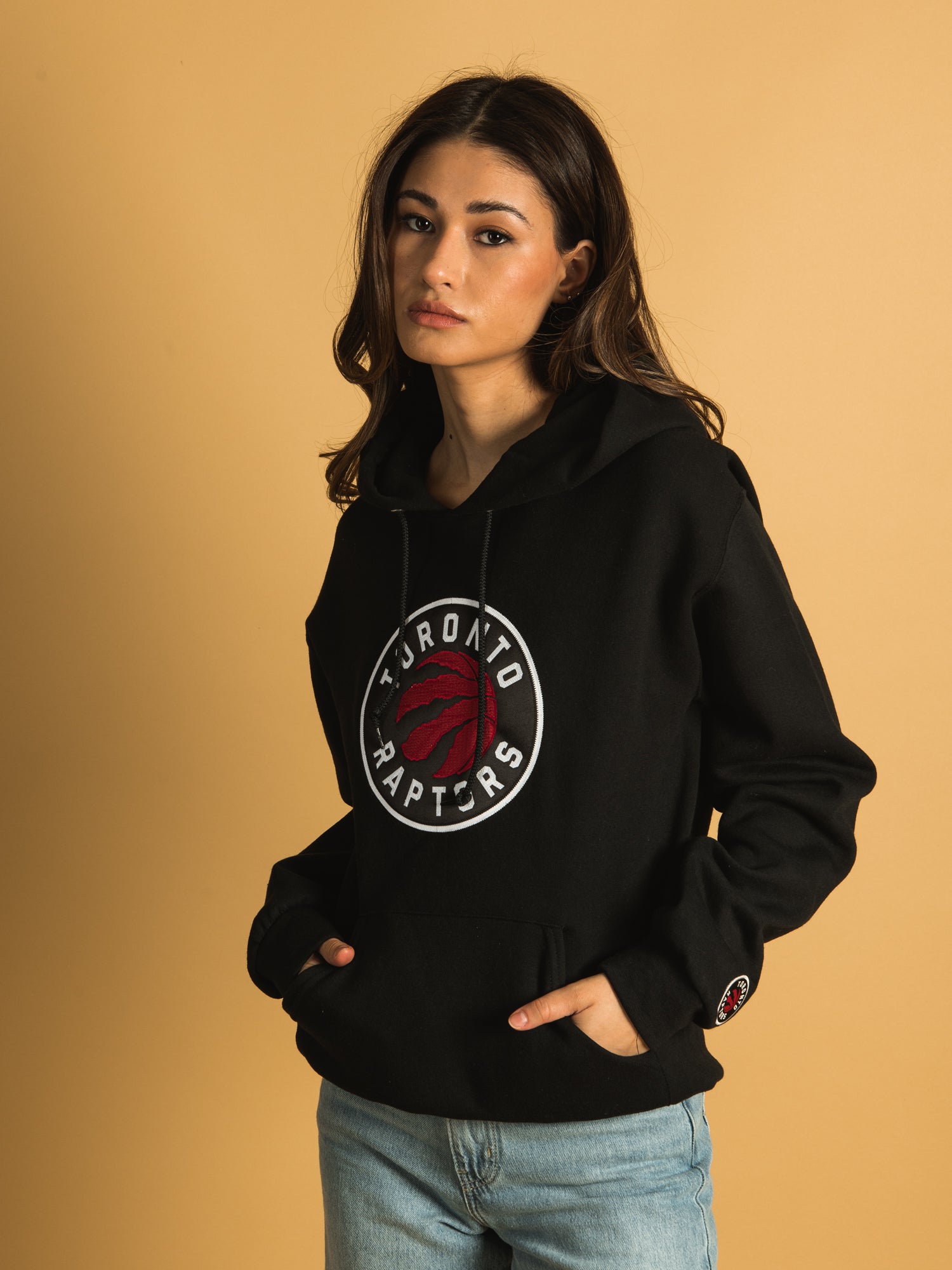 Hoodie raptors clearance