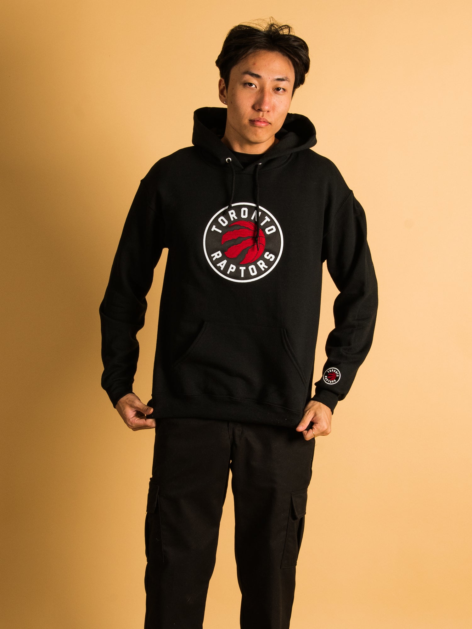 Toronto Raptors Men's Black Hoodie - Premium Gildan Cotton NBA Basketball Apparel
