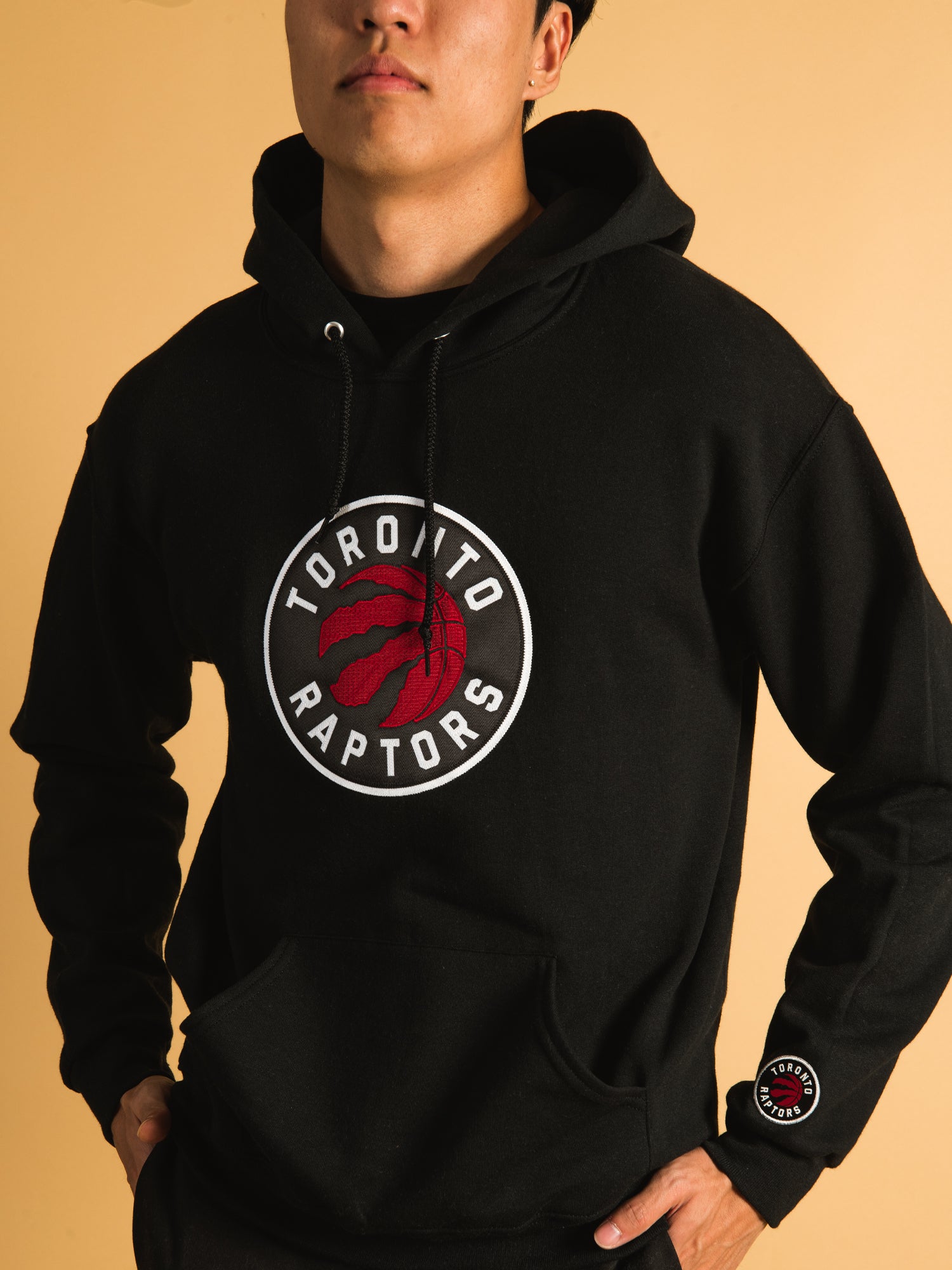 Adidas discount raptors hoodie