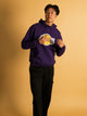 NBA NBA LOS ANGELES LAKERS EMBROIDERED HOODIE - Boathouse