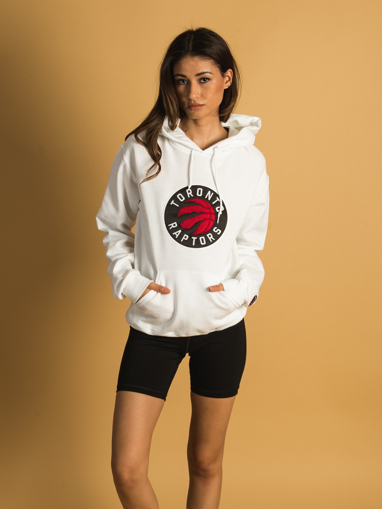 NBA TORONTO RAPTORS EMBROIDERED HOODIE