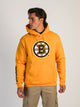 CHAMPION CHAMPION NHL BOSTON BRUINS CENTER ICE PULL OVER HOODIE - Boathouse