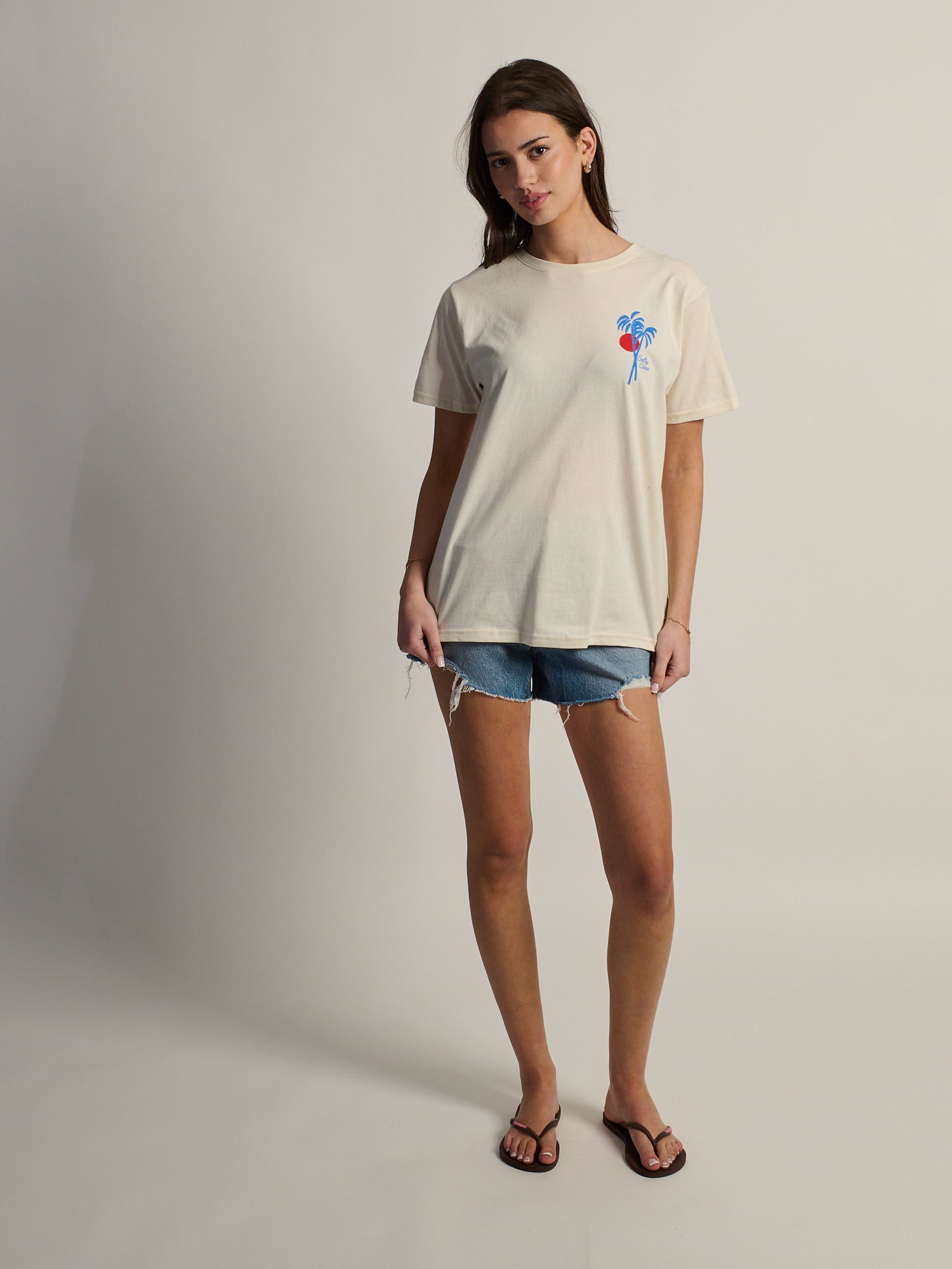 SALTY CREW GEO PALM BOYFRIEND TEE