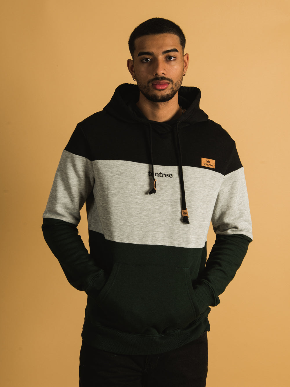 TENTREE BLOCKED EMBROIDERED REYNARD PULLOVER HOODIE  - CLEARANCE