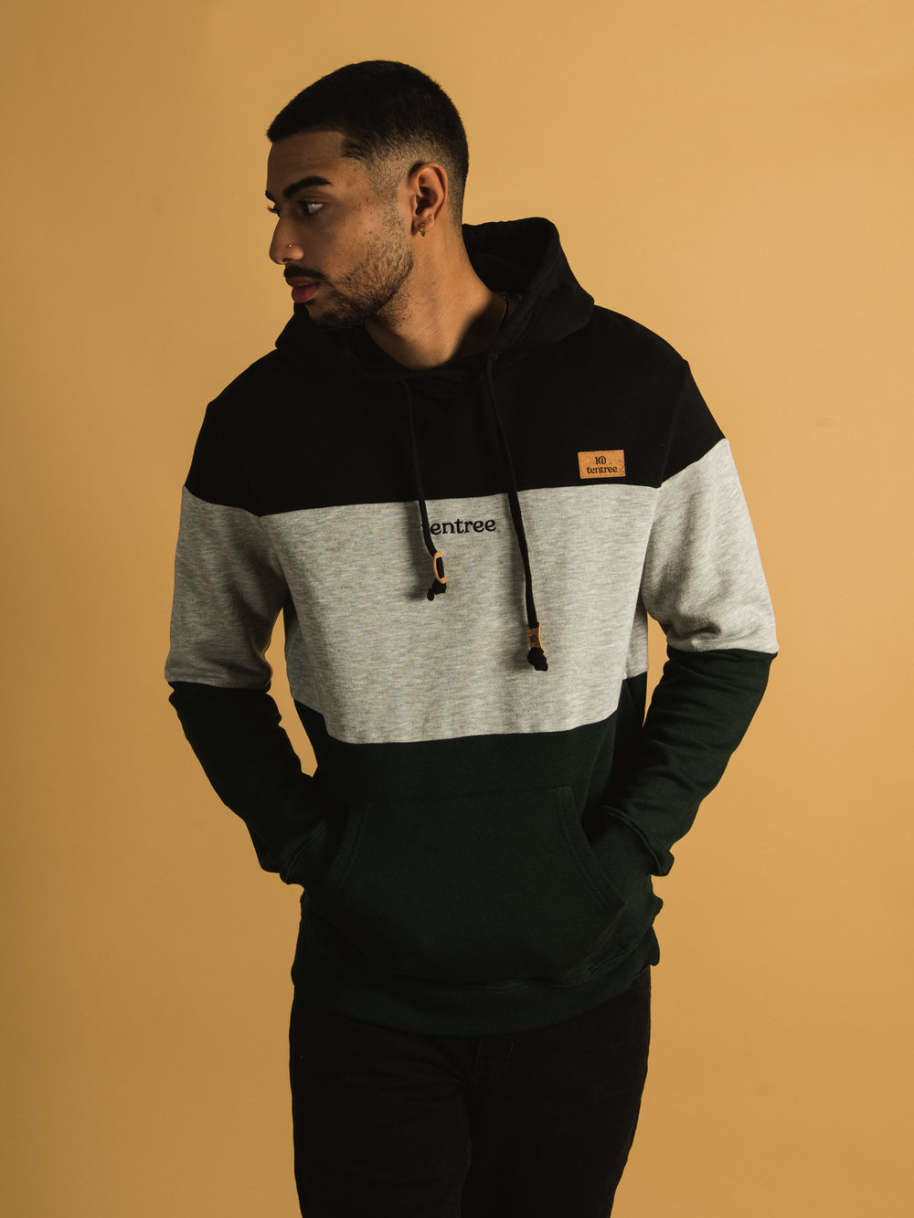 TENTREE BLOCKED EMBROIDERED REYNARD PULLOVER HOODIE  - CLEARANCE