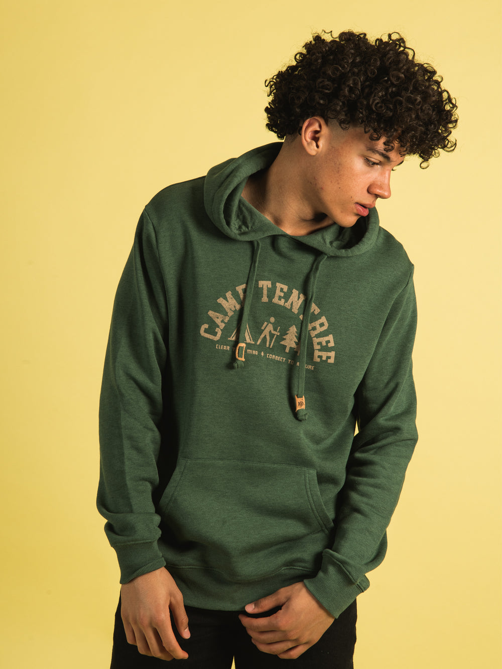 TENTREE CAMP TENTREE HOODIE