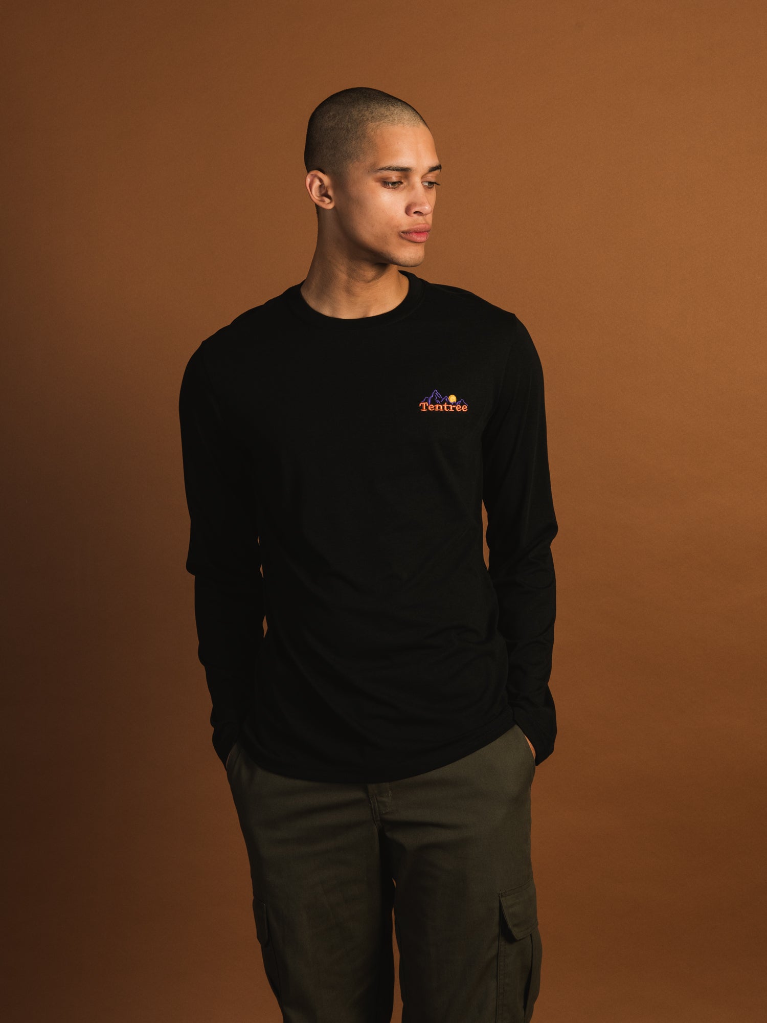 TENTREE MOUNTAIN WORDMARK LONG SLEEVE - CLEARANCE