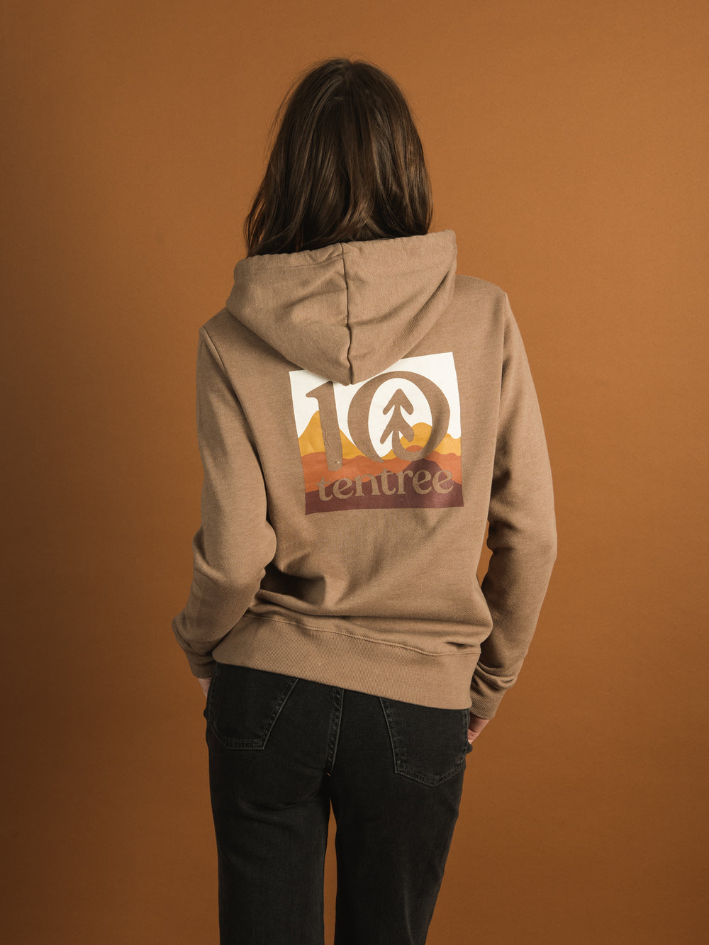 TENTREE SUNSET EMBROIDERED LOGO BLOCK HOODIE  - CLEARANCE