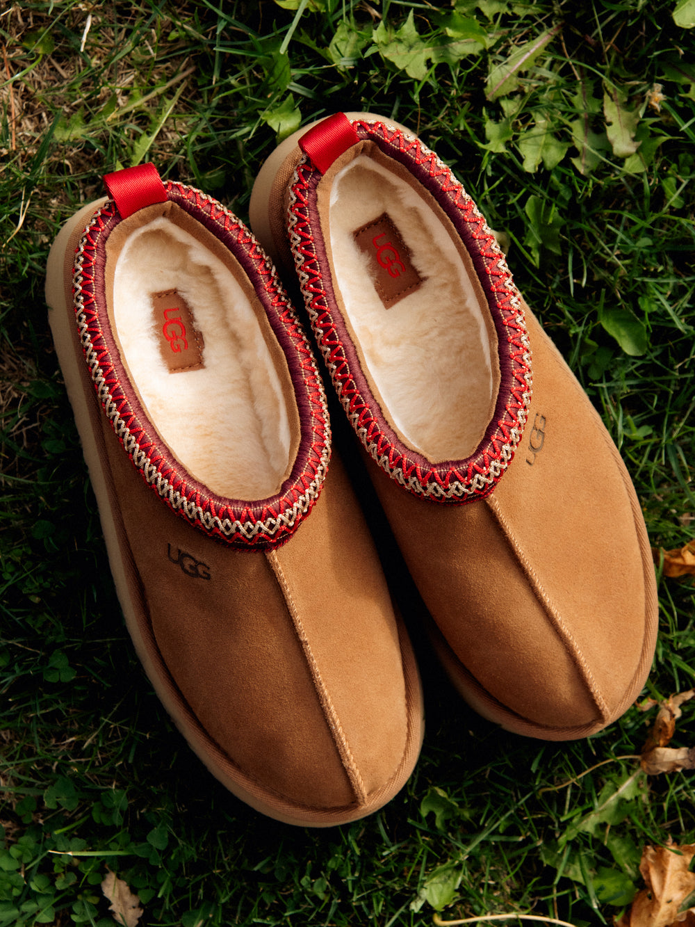 WOMENS UGG TAZZ - CHESTNUT