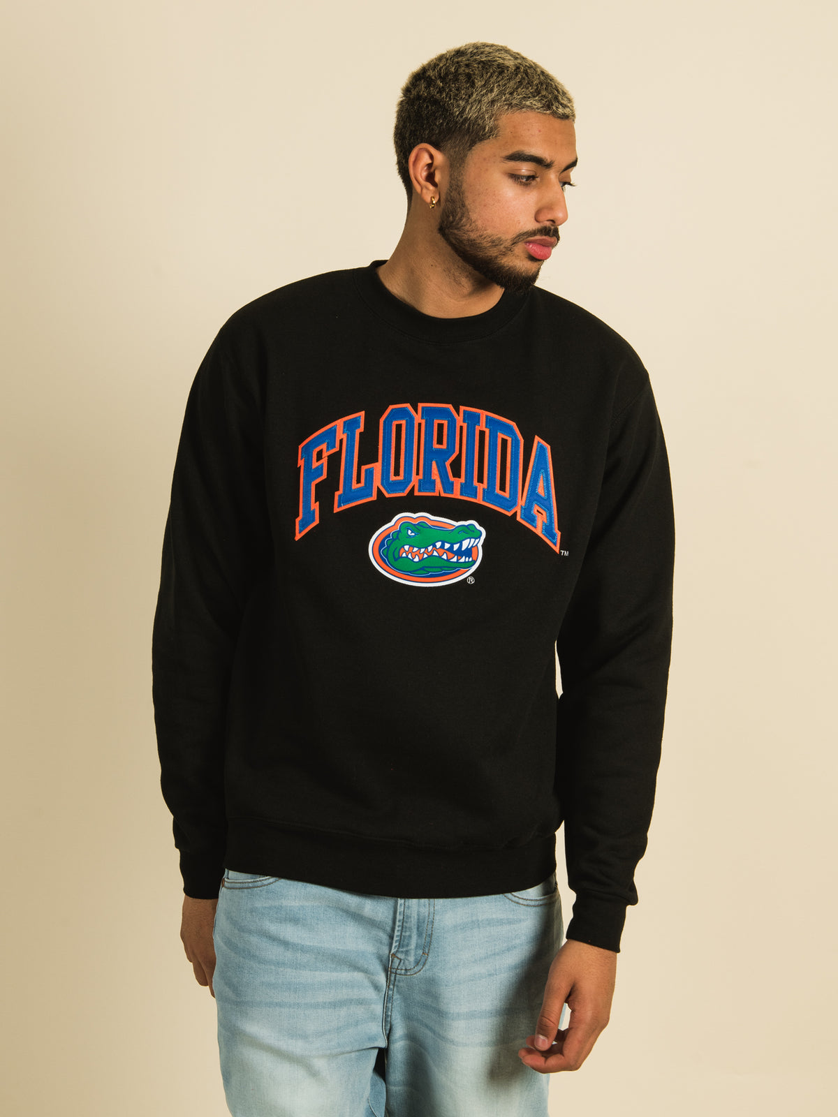 Florida gators outlet champion sweatshirt