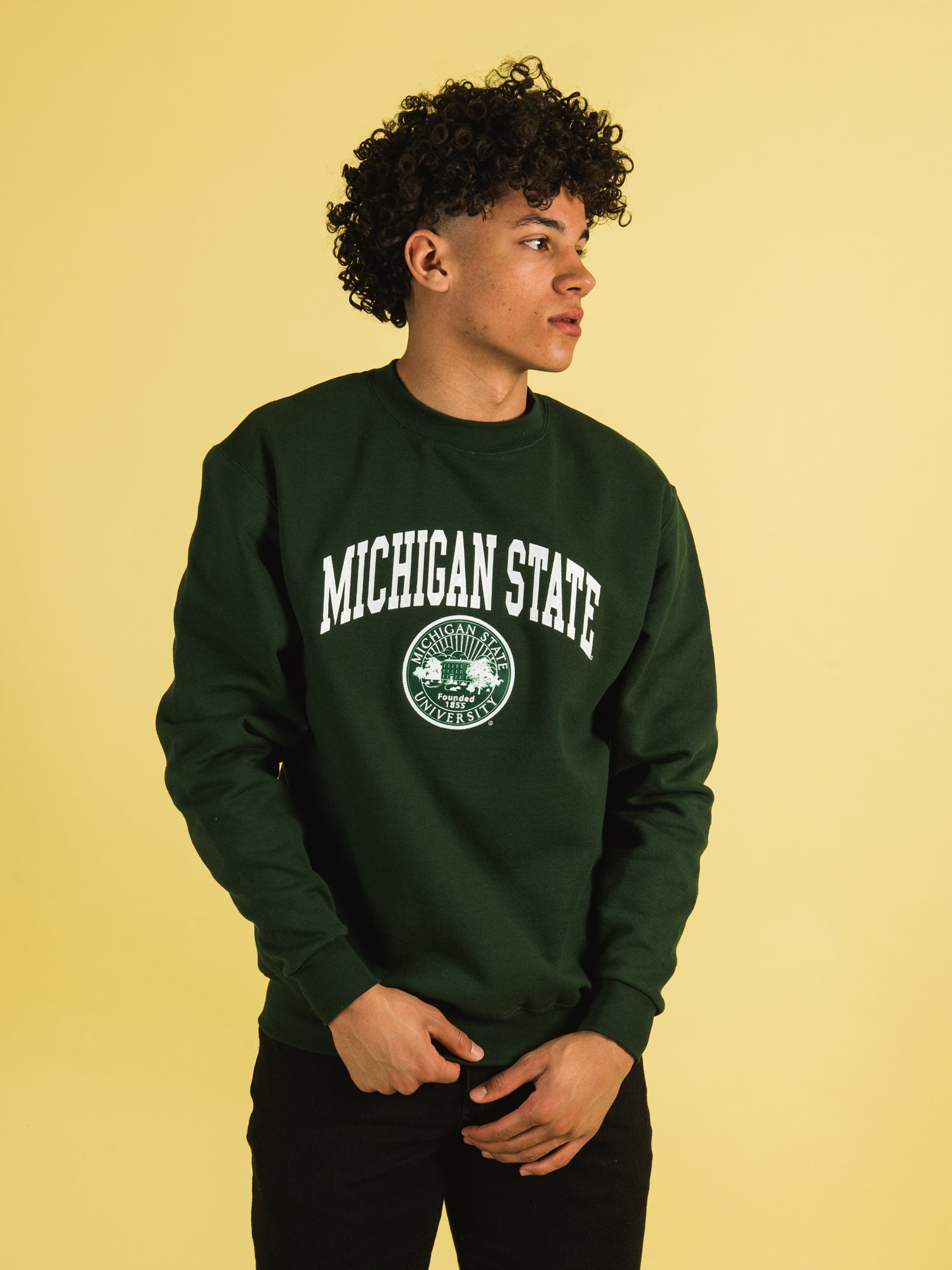 Champion sales msu sweatshirts