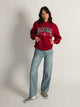 CHAMPION CHAMPION ALABAMA PULLOVER HOODIE - Boathouse