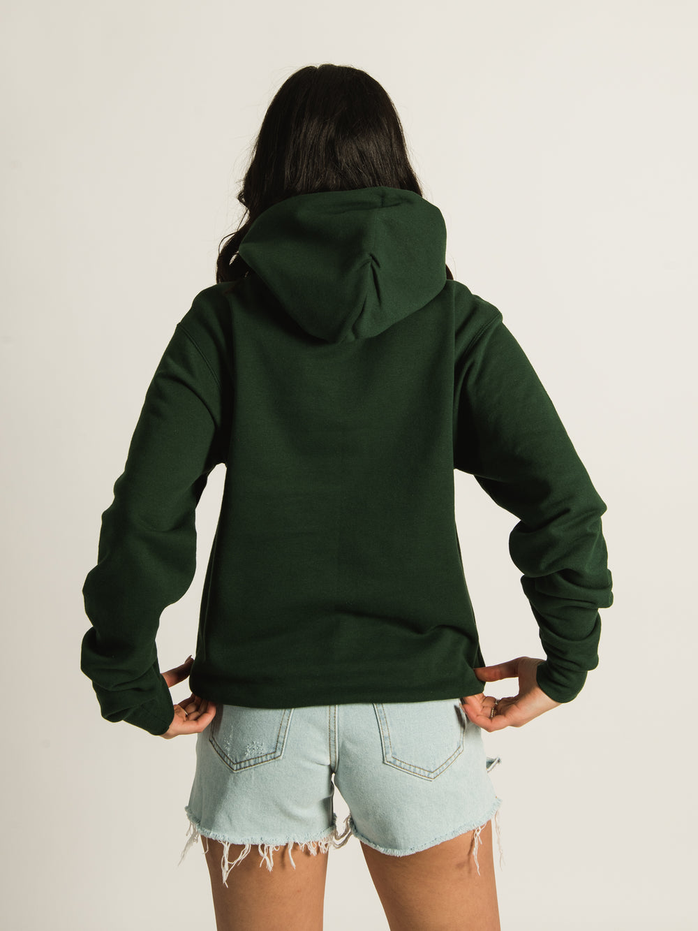 CHAMPION NOTRE DAME PULLOVER HOODIE